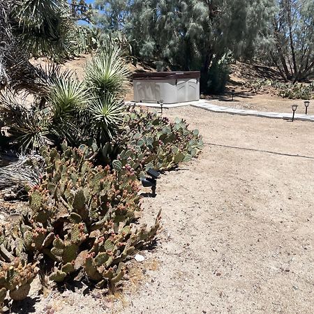 Mojave Desert Pied-A-Terre Yucca Valley Zewnętrze zdjęcie