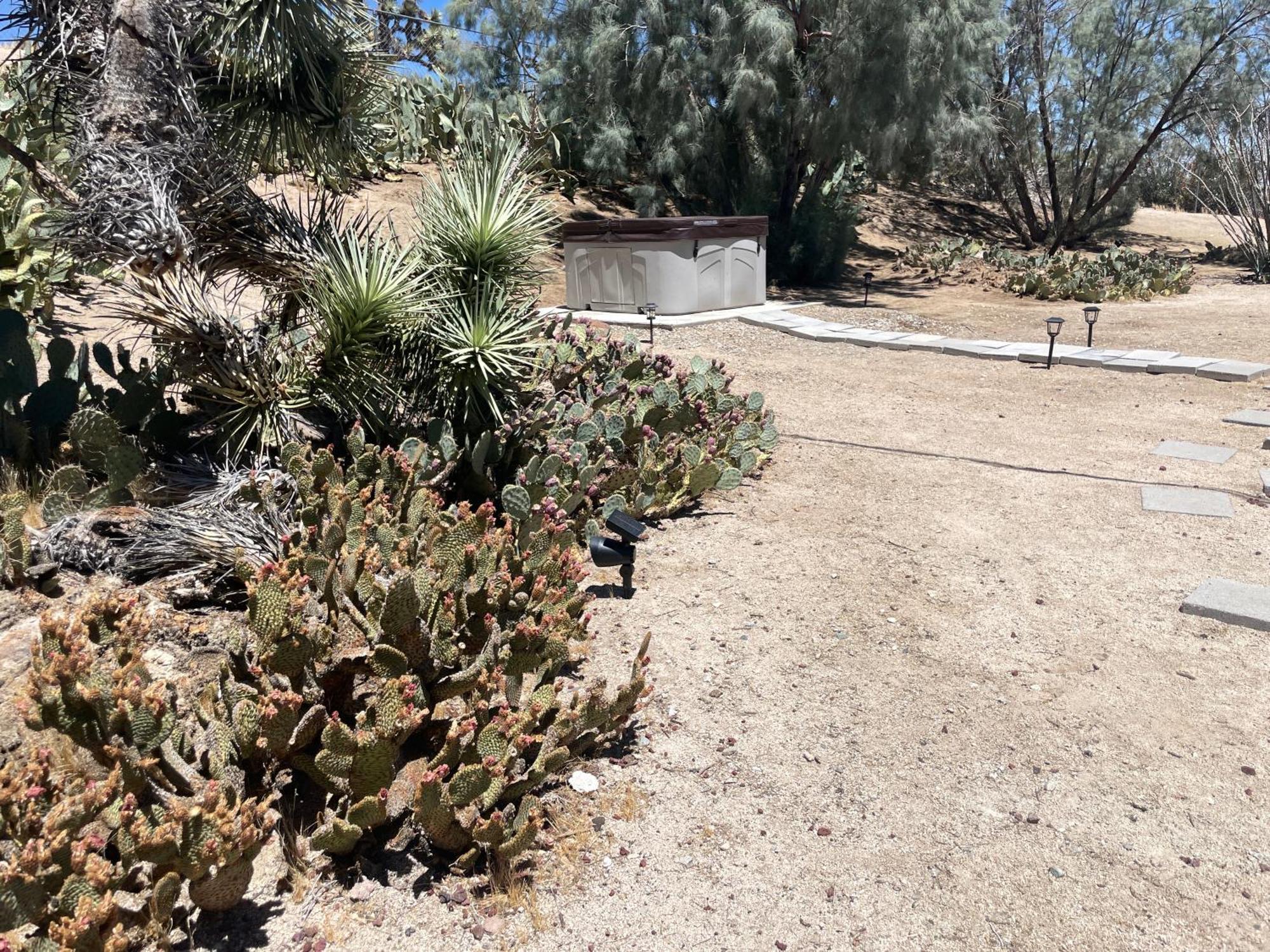 Mojave Desert Pied-A-Terre Yucca Valley Zewnętrze zdjęcie